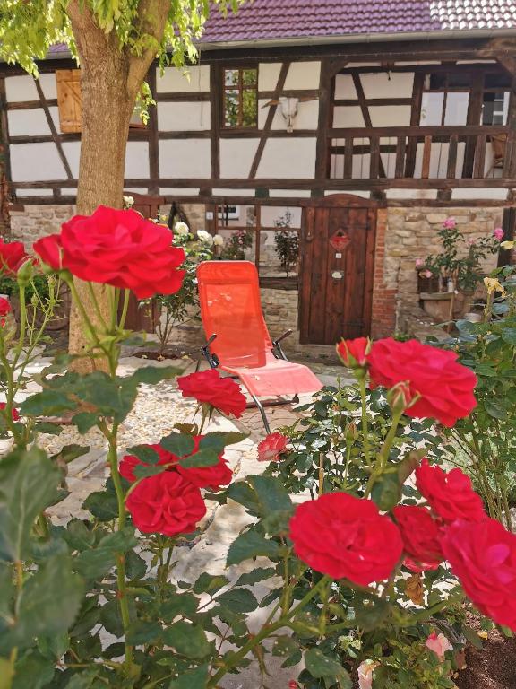 Zahrada ubytování Hotel & Café Mohrenbrunnen