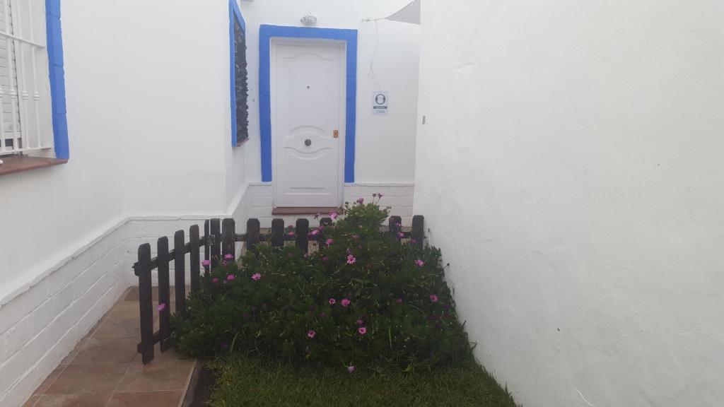 a hallway with a door and a plant with flowers at Casas Baro2 in Zahora