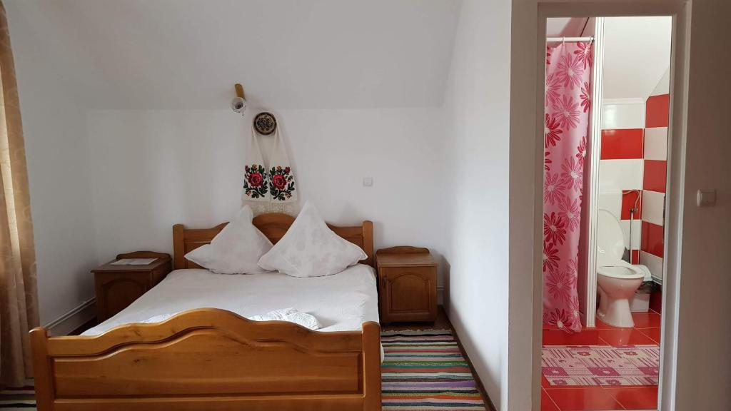 Pensiunea Todorica Sergiu - Habitación Doble Estándar Con Baño Compartido