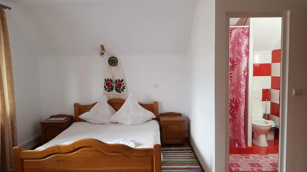 Pensiunea Todorica Sergiu - Chambre Double Avec Salle De Bain Privée