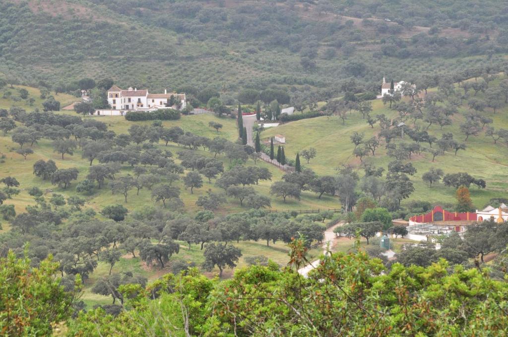małe miasteczko na wzgórzu z domami i drzewami w obiekcie La Rejaquera w mieście Villanueva del Río y Minas