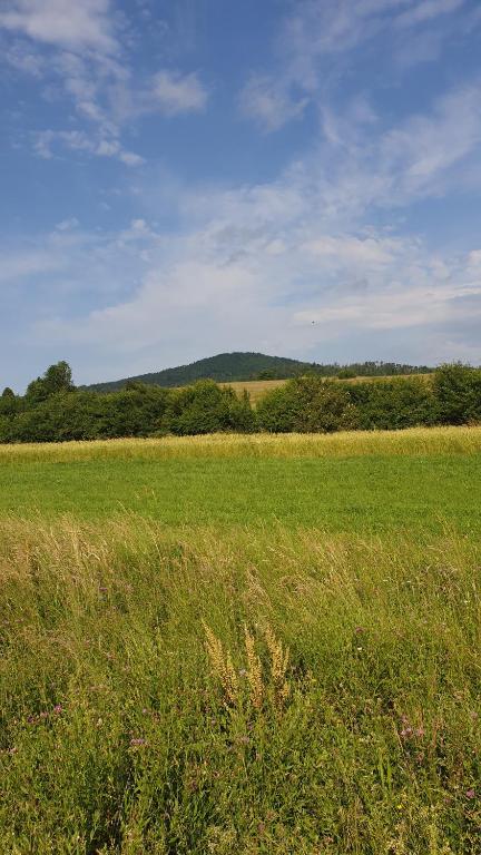 Příroda nedaleko apartmánu