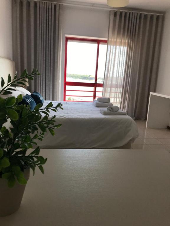 Dom Quixote apartamentos turísticos - Appartamento Con Il Lago View