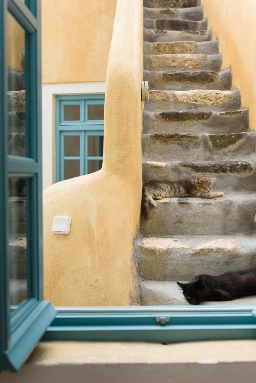 Foto dalla galleria di Santorinio Yellow House a Éxo Goniá