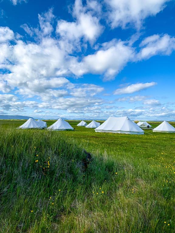 Příroda nedaleko luxury tent