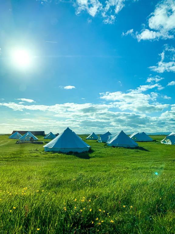 Příroda nedaleko luxury tent