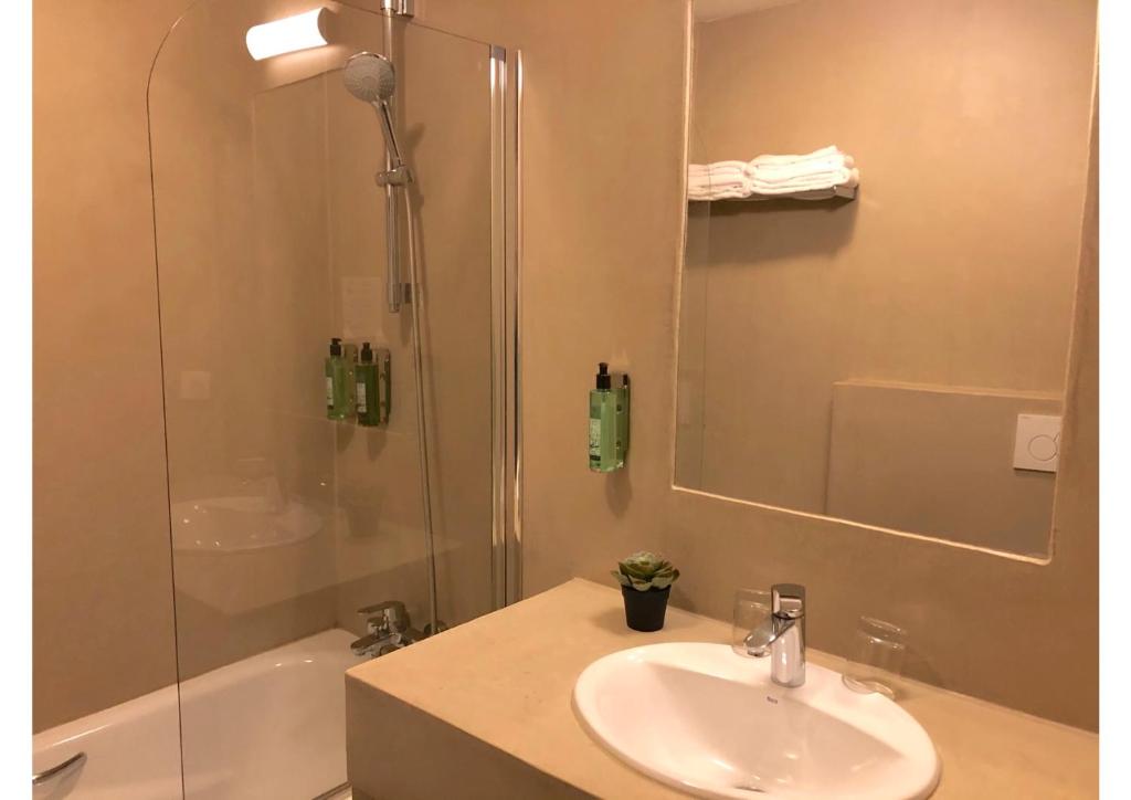 Koupelna v ubytování Hôtel & Appart-hôtel Olatua
