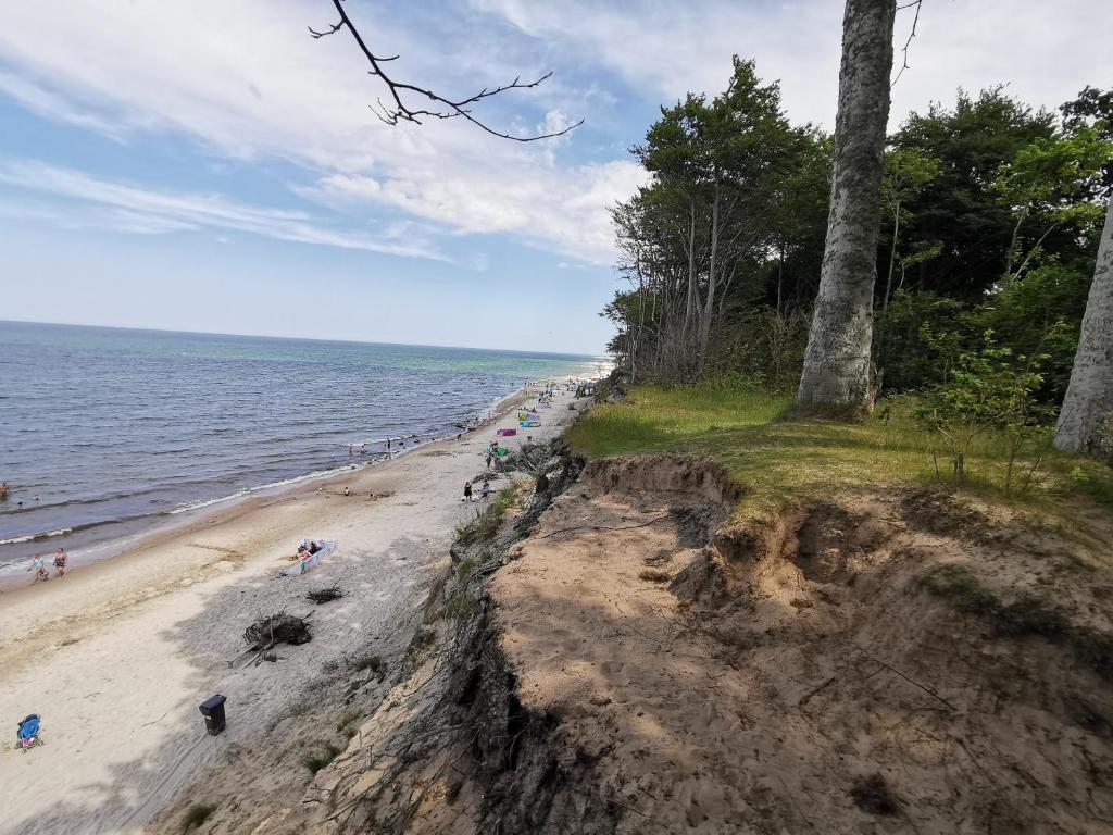 Fotografia z galérie ubytovania APARTAMENTY DĘBINA v destinácii Debina