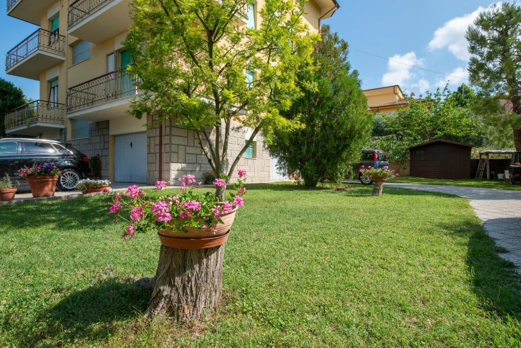 Zahrada ubytování Nel Conero Affittacamere