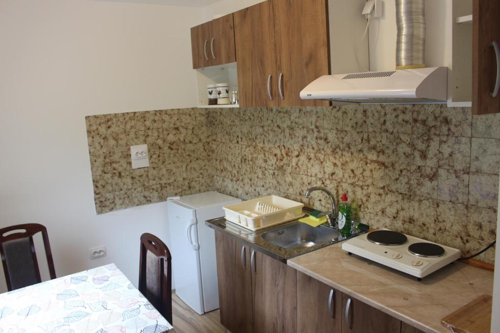 Kuchyň nebo kuchyňský kout v ubytování Apartmani Ilić