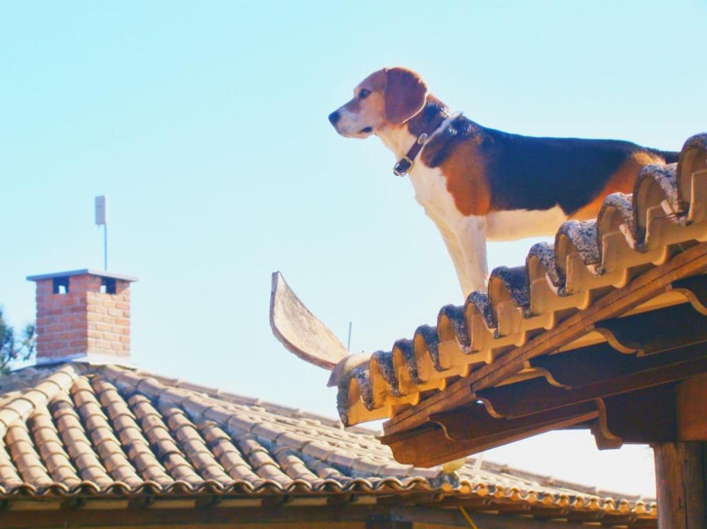 Pousada Vila São Francisco