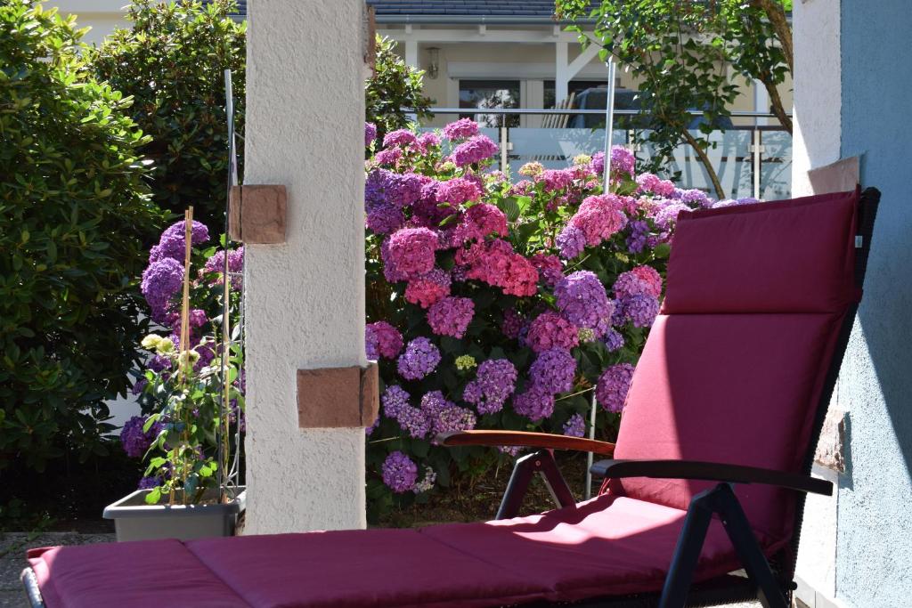 Zahrada ubytování Apartment Rose Sasbachwalden