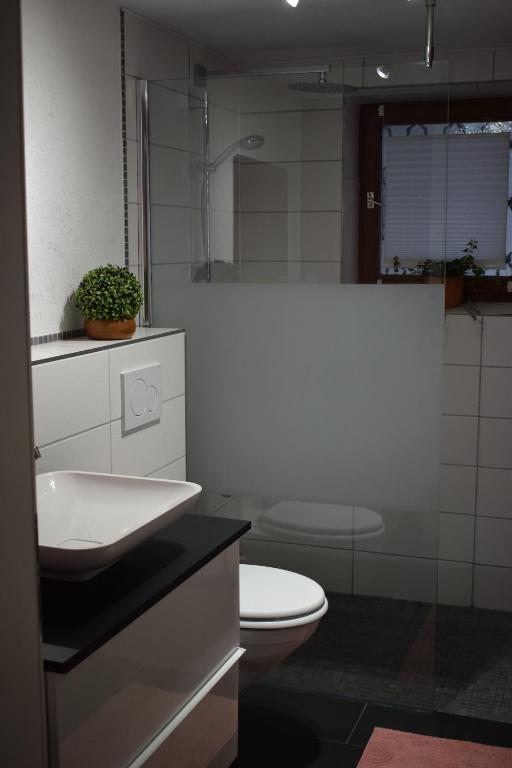 Koupelna v ubytování Apartment Rose Sasbachwalden