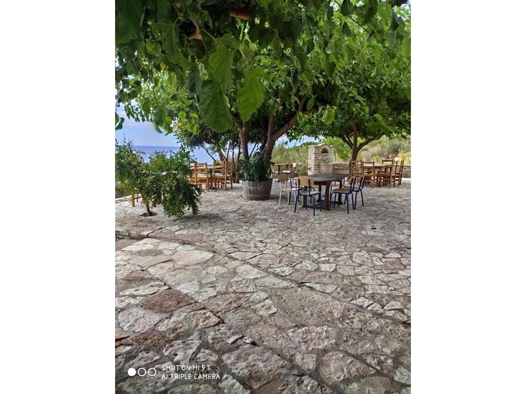 John's Guesthouse - Imazhi 9