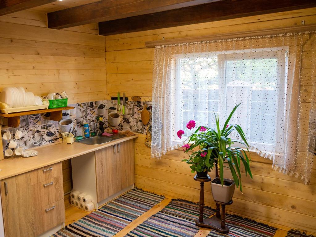 Fotografie z fotogalerie ubytování Rybatska 7 v destinaci Illičivsk