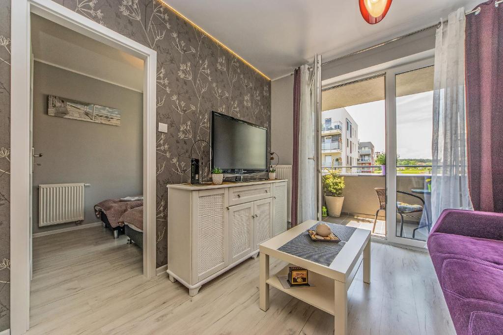 Televízia a/alebo spoločenská miestnosť v ubytovaní Apartament LUX