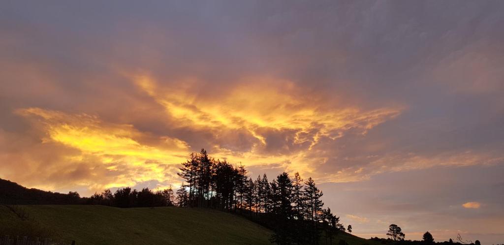 Aorangi Highland Country Retreat - Resim 9