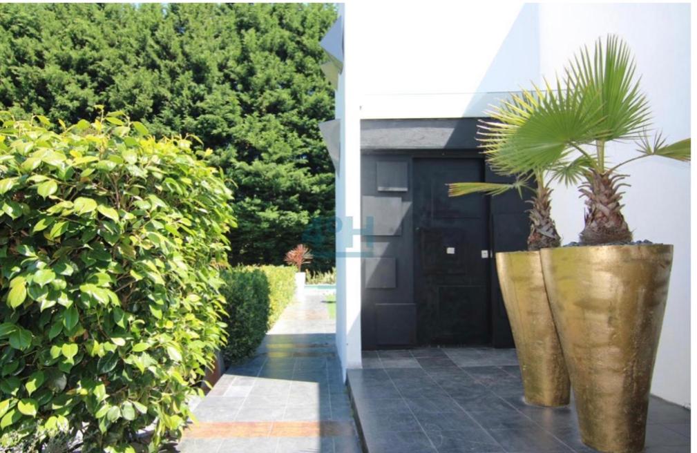Exclusiva Villa de Autor, Tamallancos – Precios 2021 actualizados