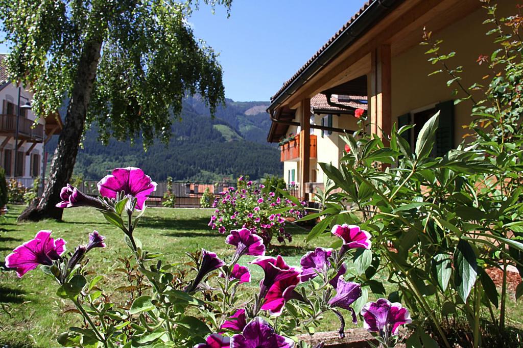 A garden outside Villa Noce 2