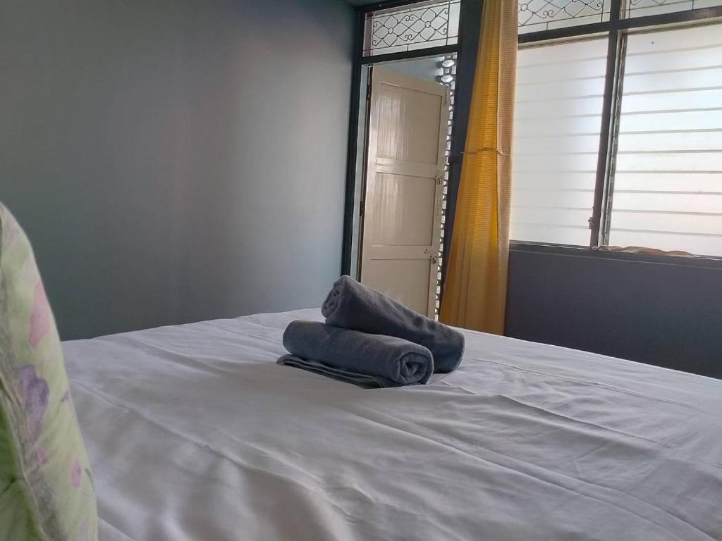 Tharuadaeng Old city Ayutthaya ท่าเรือแดง กรุงเก่า อยุธยา - 6