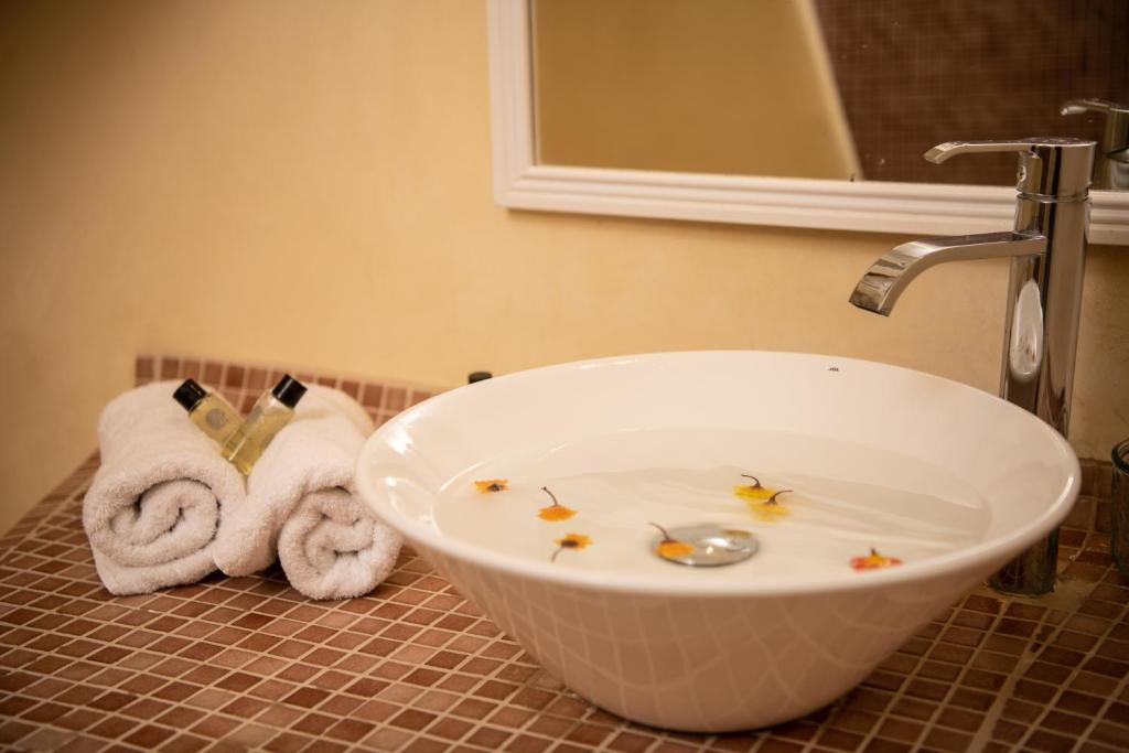 Iatis View Collection - 12