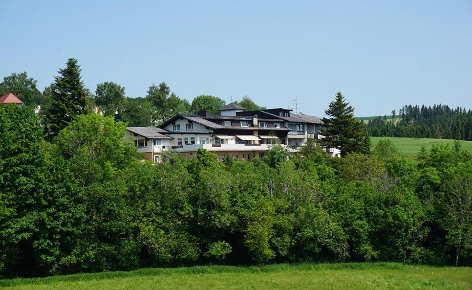 ein großes Haus auf einem Hügel hinter Bäumen in der Unterkunft Panoramahotel Alde Hotz GbR in Görwihl