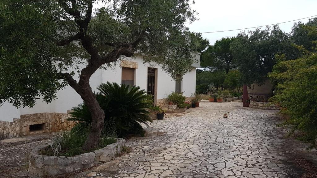 CASA di STELLA