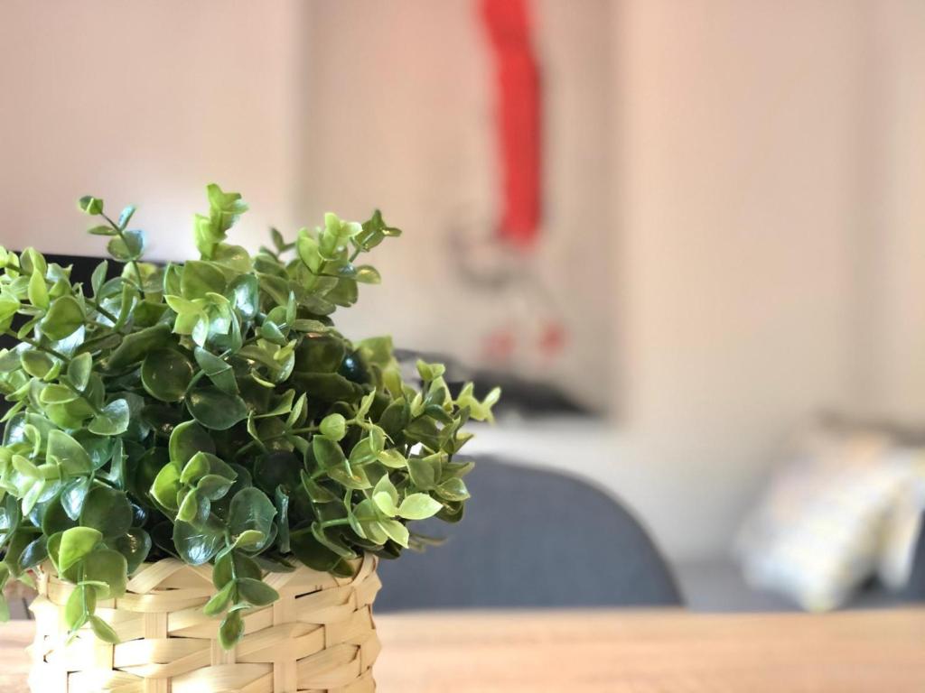 Postel nebo postele na pokoji v ubytování Apartamento Centrico - Casta Alvarez