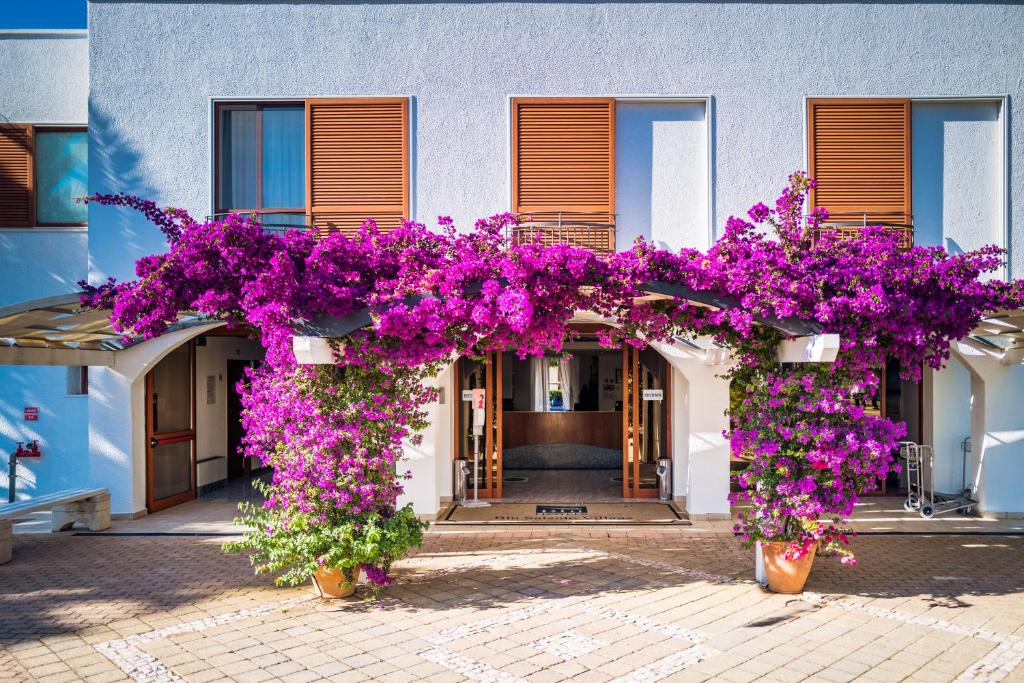 Zahrada ubytování Blu Salento Village