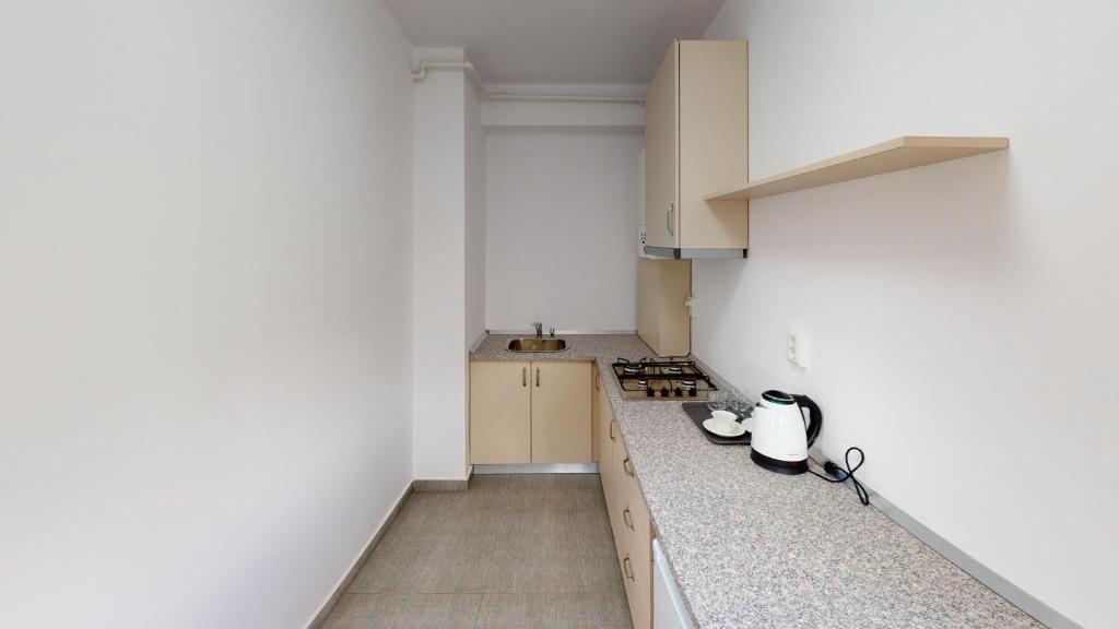 Kuchyň nebo kuchyňský kout v ubytování Le Blanc ApartHotel