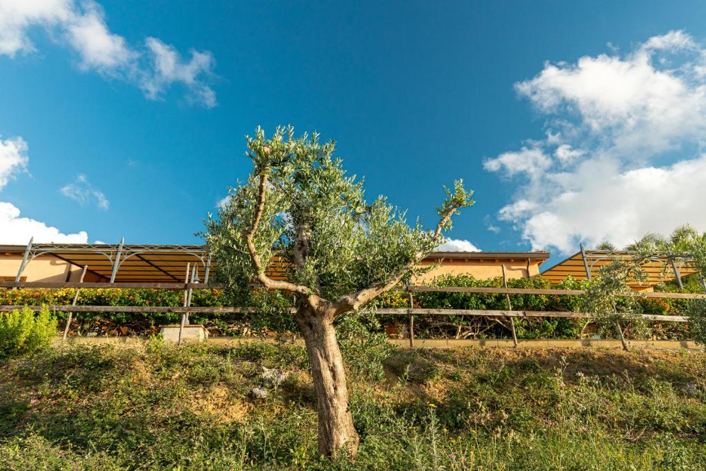 Vonkajšia záhrada v ubytovaní Solemar Sicilia - Le Casette Di Calzata