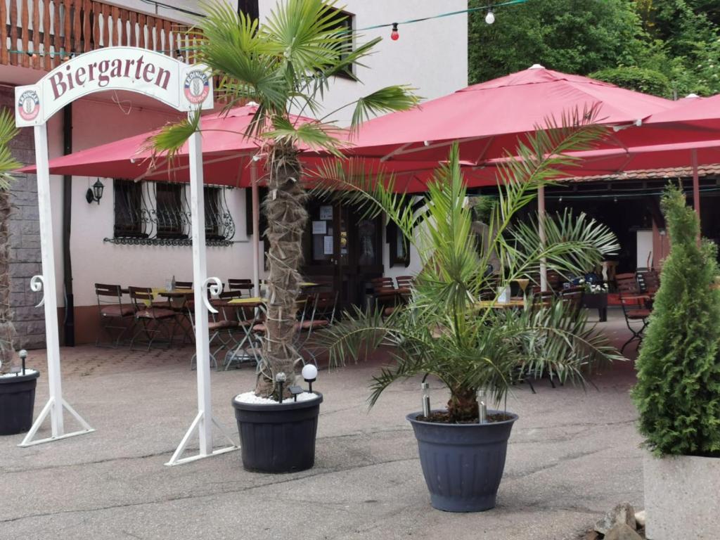 Zahrada ubytování Alemannenhof Hotel Engel