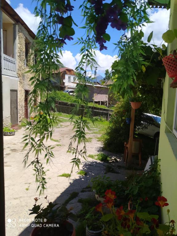 Zahrada ubytování Guest House Latali