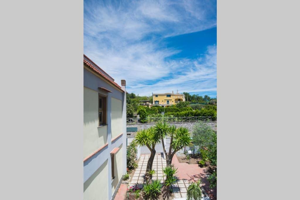 Ogród w obiekcie Villa Capo D'Arco