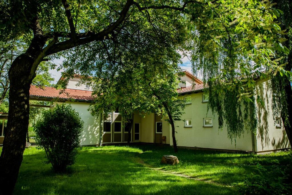 Zahrada ubytování Międzynarodowy Dom Spotkań Młodzieży w Oświęcimiu