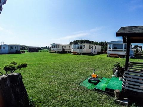 um grupo de camelos estacionados num campo em Lary Camping Homes - Domki Dabrowka em Gostynin