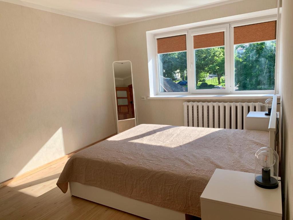 a bedroom with a bed and two windows at Centro Apartamentai in Zarasai