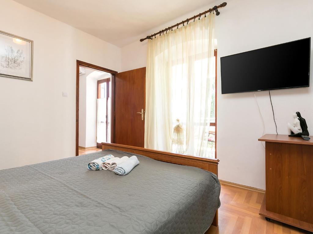 TV a/nebo společenská místnost v ubytování Apartman Šušnjić