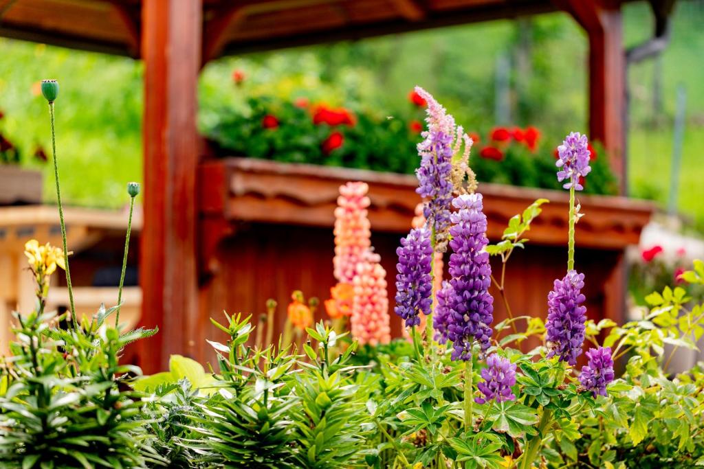 Ferienwohnung Semler - 6