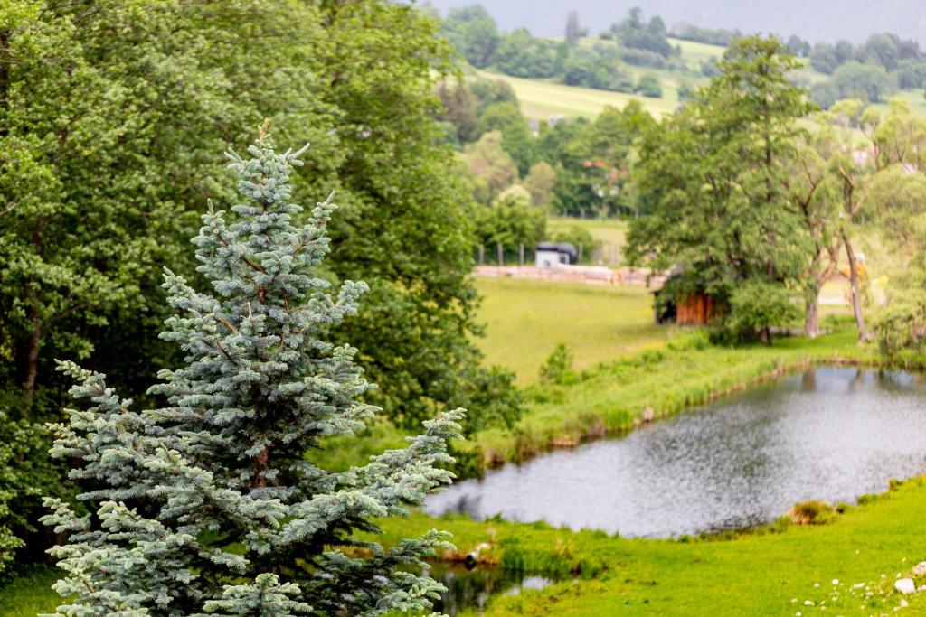 Ferienwohnung Semler - 11