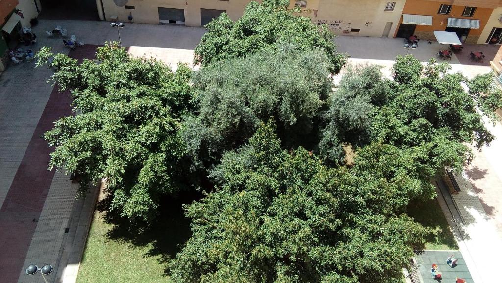 Letecký snímek ubytování PISO ACOGEDOR Y ALEGRE EN CASTELLÓN