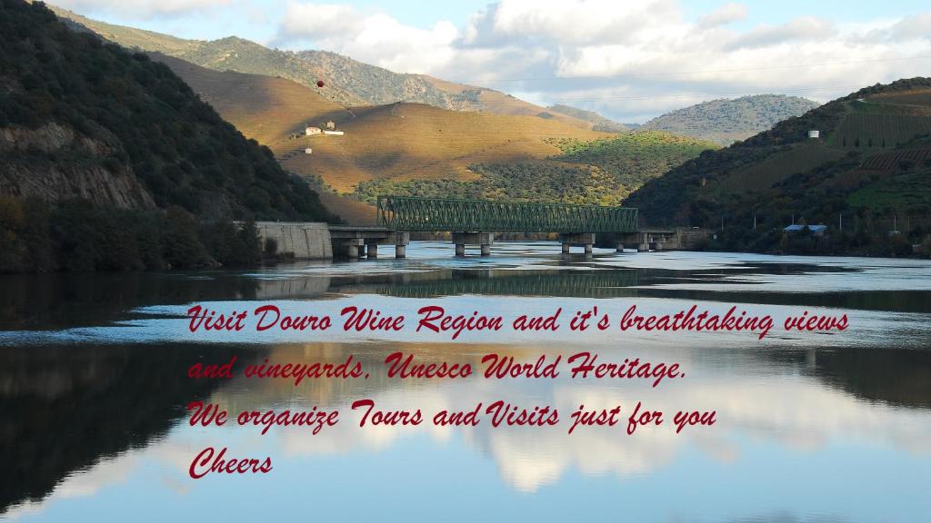 Capim Dourado Apartments Cedofeita - 5