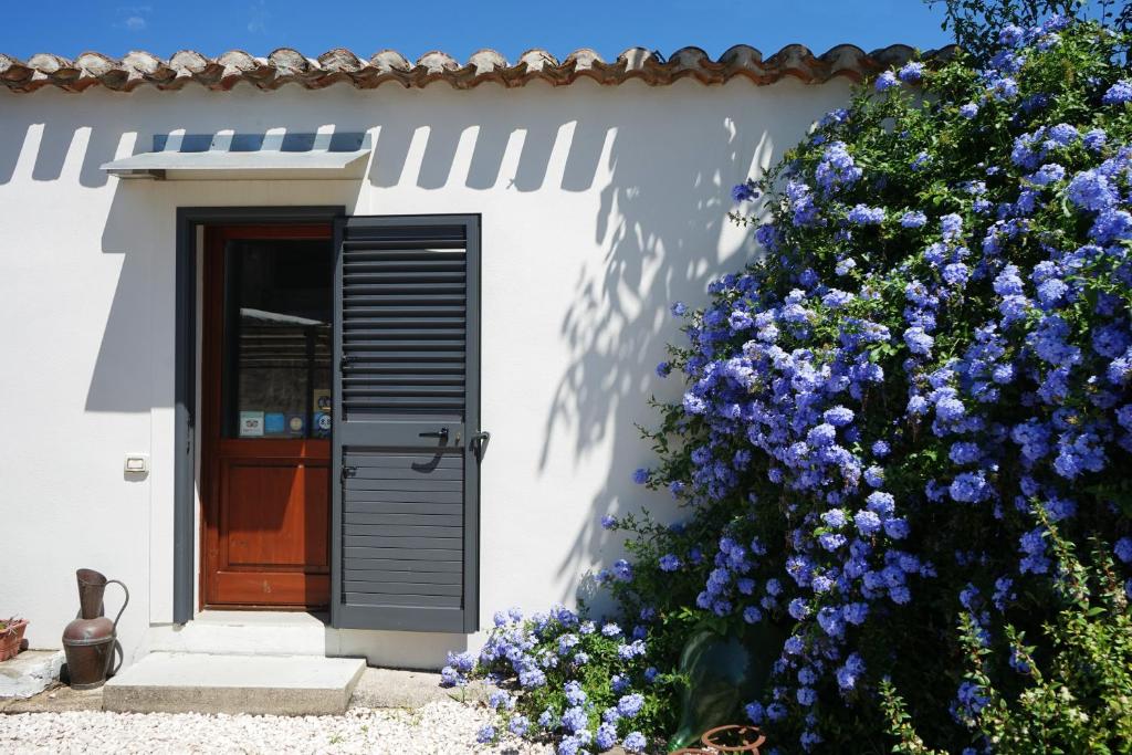 uma casa com flores azuis em frente a uma porta em B&B Catedda em Sedilo