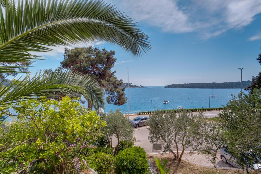 a view of the ocean from a palm tree at Apartments Villa Julija in Mali Lošinj