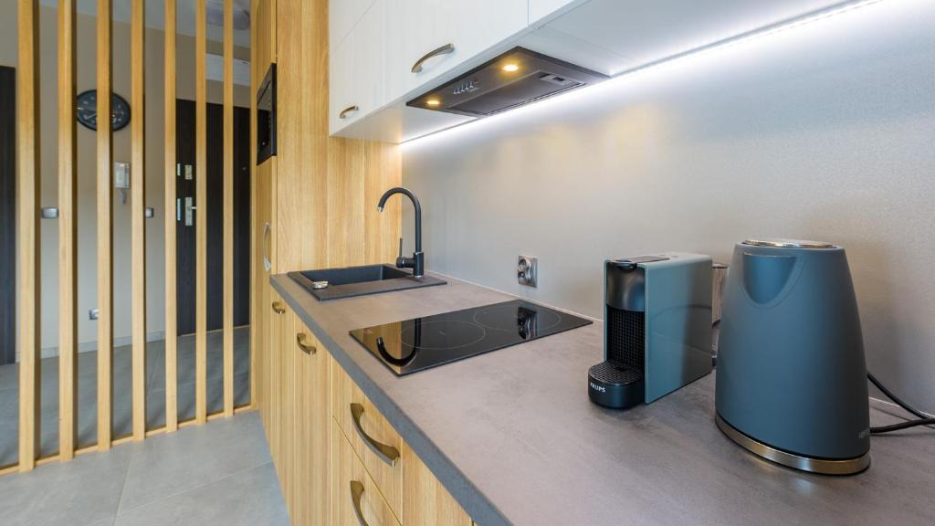 Apartamenty Holiday Mountain Residence by Royal Aparts - 17