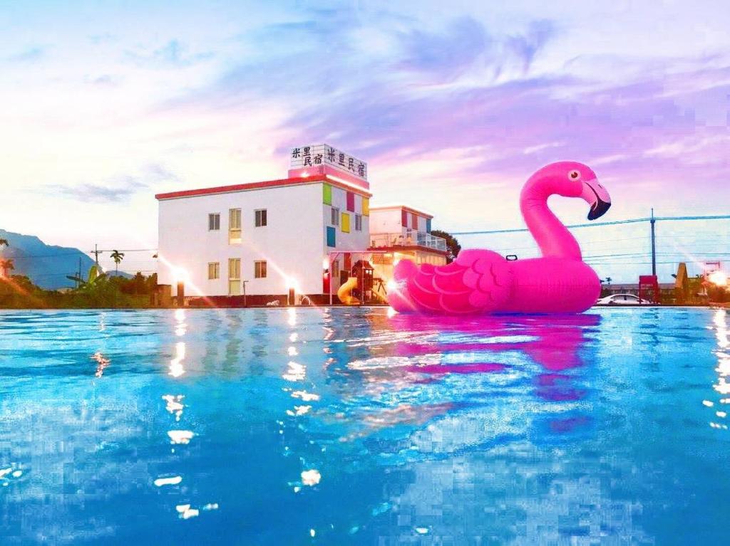 un cisne rosa flotante en una piscina en Mini Home B&B, en Kangle