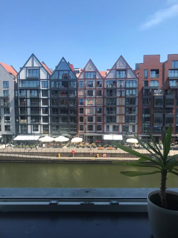 Promenada Studio - 1