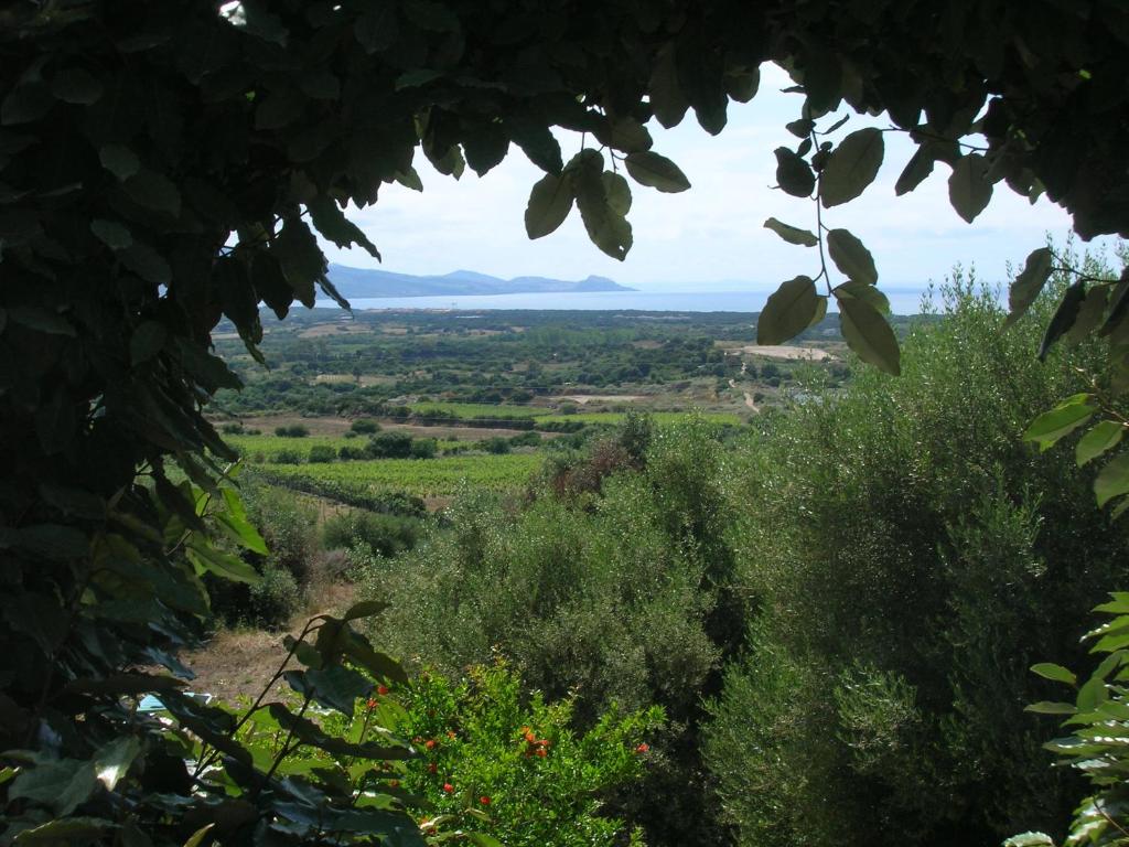 Gallery image of Villa Domenica in Badesi