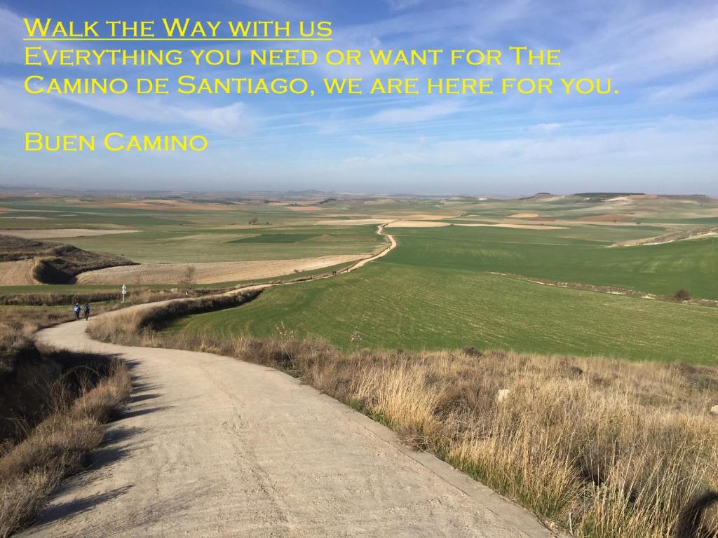 Capim Dourado Apartments Cedofeita - 3