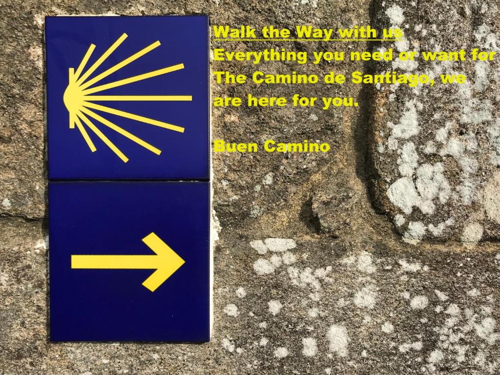 Capim Dourado Apartments Cedofeita - 4